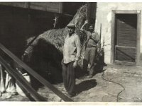 Masina 1